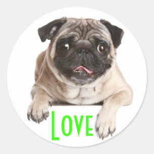Aimer Carlin Chien Chien Chien Stickers de voeux