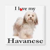 Aimer mon aimant Havanais (Devant)