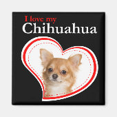 Aimer Mon Magnet Chihuahua (Devant)