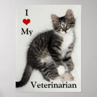 Aimer Mon Vétérinaire Zorro Kitty Poster