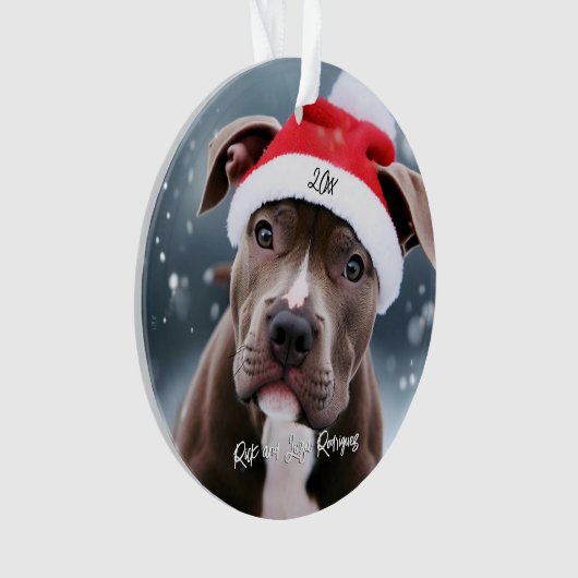 Aimer Pit Bull avec Santa Hat Noël (devant)