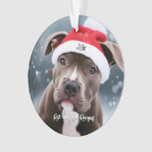 Aimer Pit Bull avec Santa Hat Noël (devant)