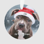 Aimer Pit Bull avec Santa Hat Noël (devant)