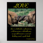 Aimer Posters Animal 5 (Devant)