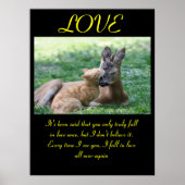 Aimer Posters Animal 7 (Devant)