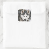 Aimer Sibérie Husky Chien Chien Chien Stickers de  (Sac)
