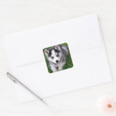 Aimer Sibérie Husky Chien Chien Chien Stickers de  (Enveloppe)
