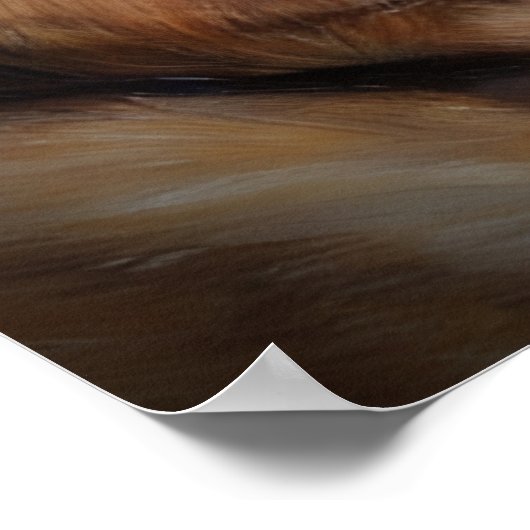 Aimer Un Abri Poster D'Art Chien (Coin)