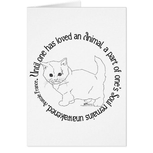 Aimer un chat (Devant)