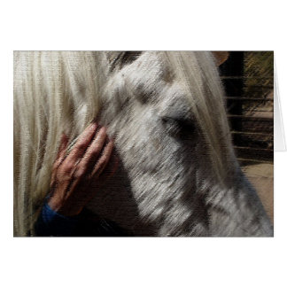 Aimer un cheval