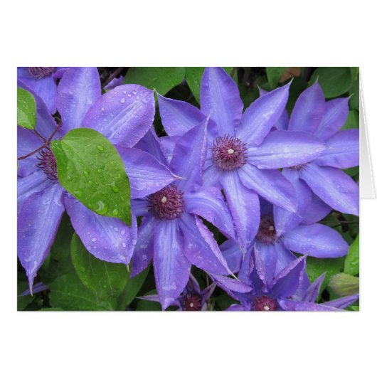 Aimez-moi bleu - série de TBD (Devant Horizontal)