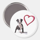 Aimez Mon Boston Chien Chien Chien Magnet (Recto/Verso)