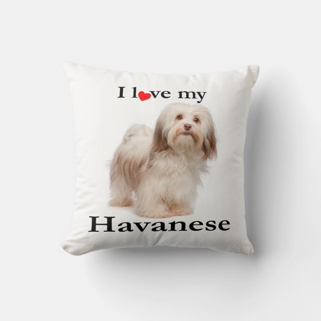 Aimez mon coussin de Havanese (Recto)