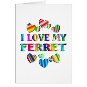 Aimez mon furet