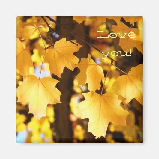 Aimons-nous ! aimants Jaune Feuilles d'automne nat (Devant)