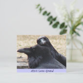 Ain't Love Grand Ravens in love briefkaart (Staand voorkant)