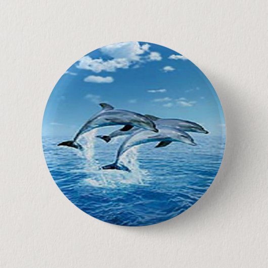 Air Dolphins Button (Voorkant)