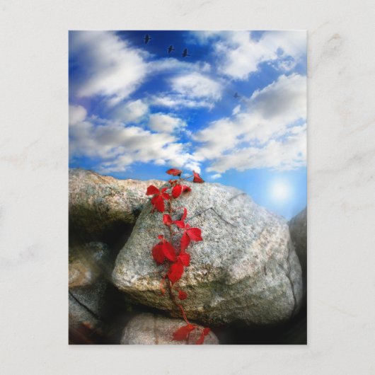 Air frais, carte postale (Devant)