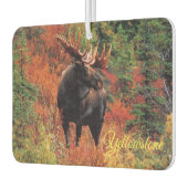 Air Freshner-Yellowstone Moose Luchtverfrisser (Links)