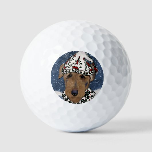 AIREDAILER TERRIËR GOLFBALLEN (Voorkant)
