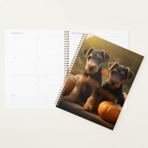 Airedale Chiot Automne Citrouille délice