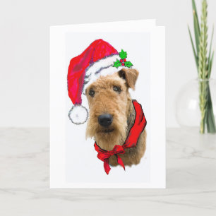 AIREDALE CHRISTMAS-KAART FEESTDAGEN KAART