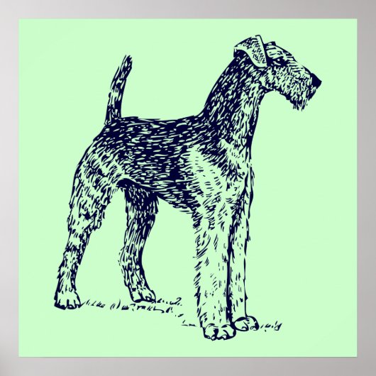 Airedale-hond Poster (Voorkant)
