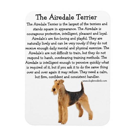Airedale Info Magneet (Verticaal)