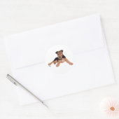 Airedale, Lakeland, Welsh Terrier Pup Ronde Sticker (Envelop)