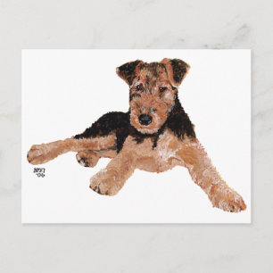 Airedale, Lakeland, Welsh Terrier Puppy Briefkaart