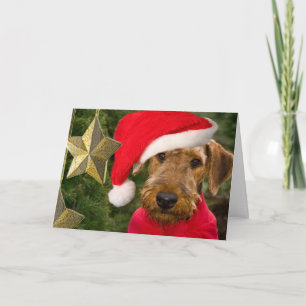 Airedale Season Greetings kaart