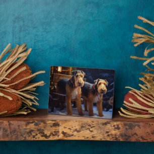 Airedale Sneeuw Slede Rit Kerst Decoratie Fotoplaat