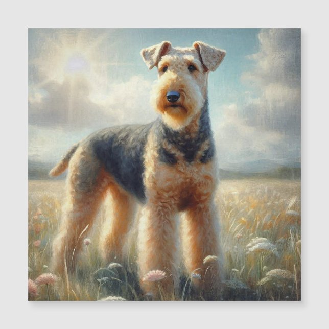 Airedale Terrier (Voorkant)