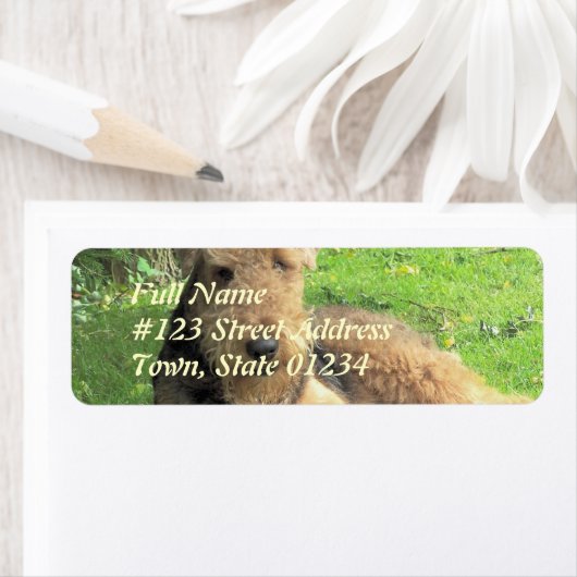 Airedale Terrier Dog Return Label (Insitu)