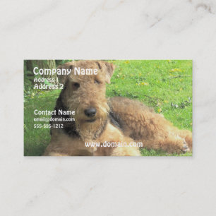 Airedale Terrier Dog Visitekaartje