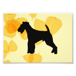 Airedale Terrier Gold Leaves Foto Afdruk