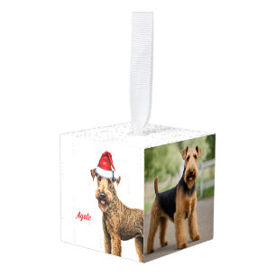 Airedale Terrier Hond Twee Foto Kerstvakantie Kubus Ornament