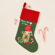 Airedale Terrier Kerstmis