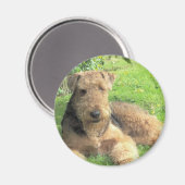 Airedale Terrier Magnet rond (Recto/Verso)