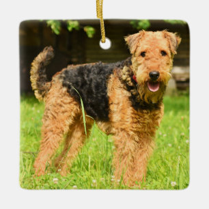 Airedale Terrier Puppy Dog Keramisch Ornament