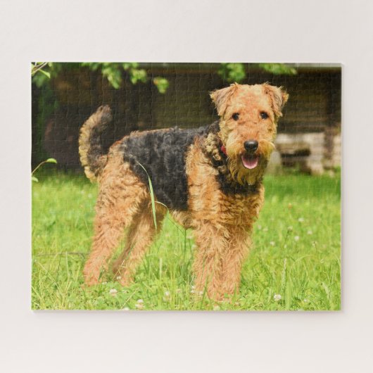 Airedale Terrier Puppy Dog Legpuzzel (Horizontaal)