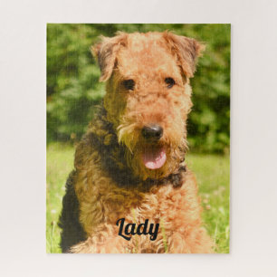 Airedale Terrier Puppy Dog Legpuzzel