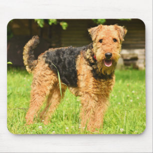 Airedale Terrier Puppy Dog Muismat