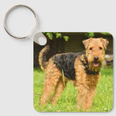 Airedale Terrier Puppy Dog Sleutelhanger (Voorkant)