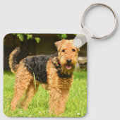 Airedale Terrier Puppy Dog Sleutelhanger (Achterkant)