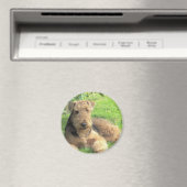 Airedale Terrier ronde magneet (Insitu (Vaatwasser))
