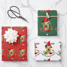 Airedale Terrier Santa Hoed Kerstmis