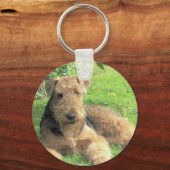 Airedale Terrier Sleutelhanger (Voorkant)