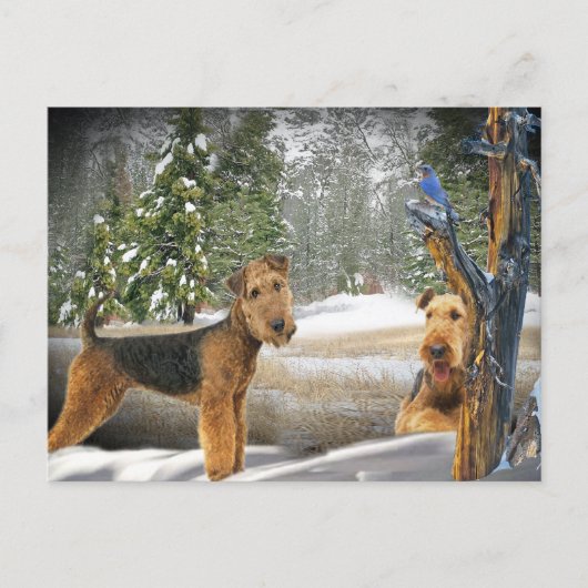 Airedale Terrier Winter Day-geschenken Briefkaart (Voorkant)