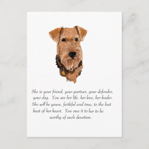 Airedale, Welsh, Lakeland Terrier Aandenken Briefkaart